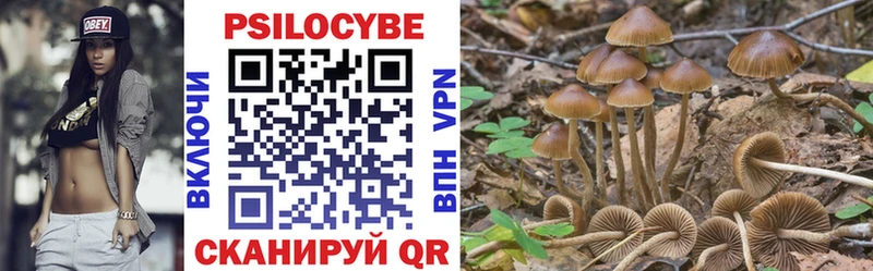 Псилоцибиновые грибы мицелий Демидов